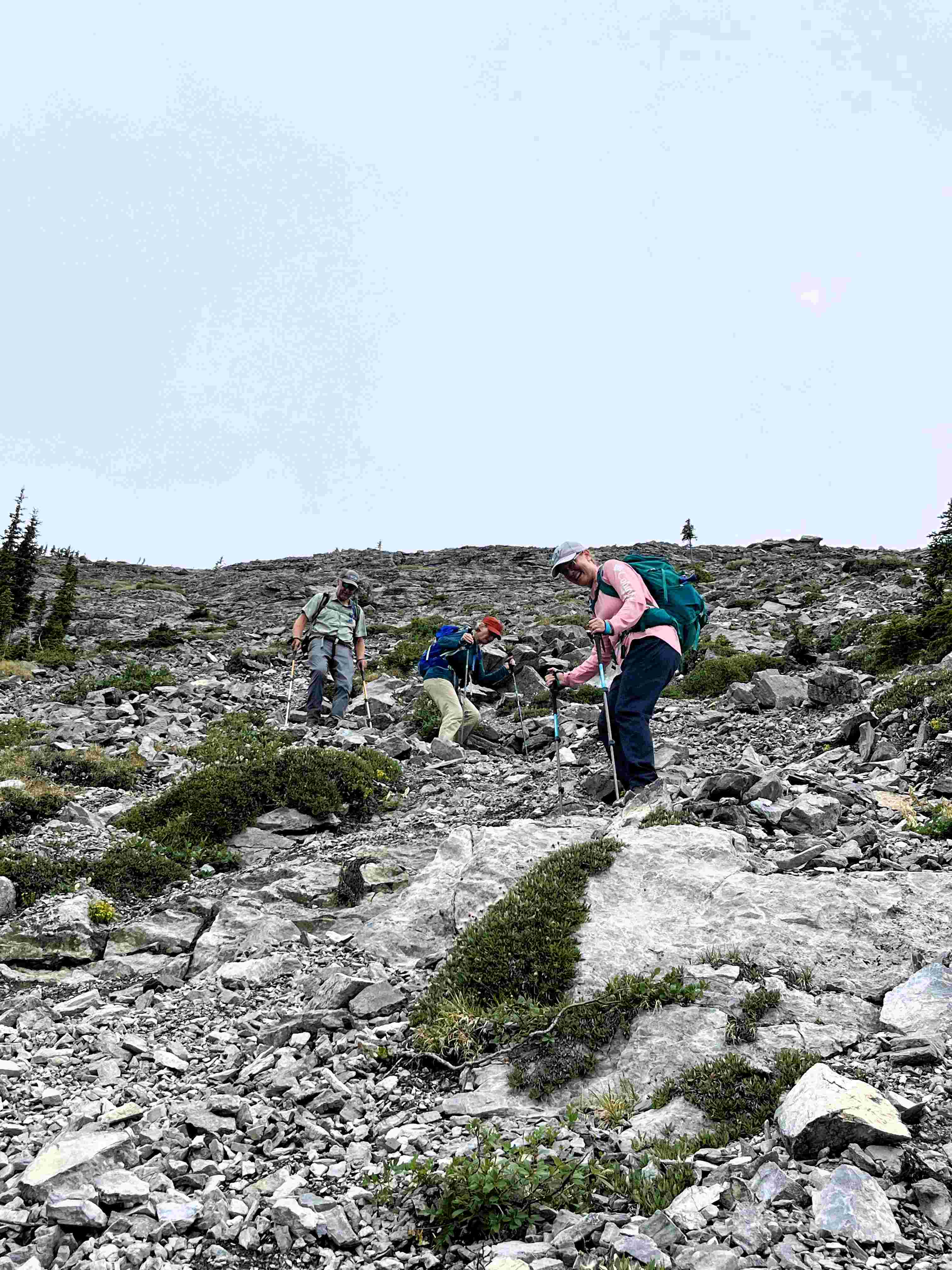 Midnight Peak via Baldy Pass - 2025 August 3rd - Elvie