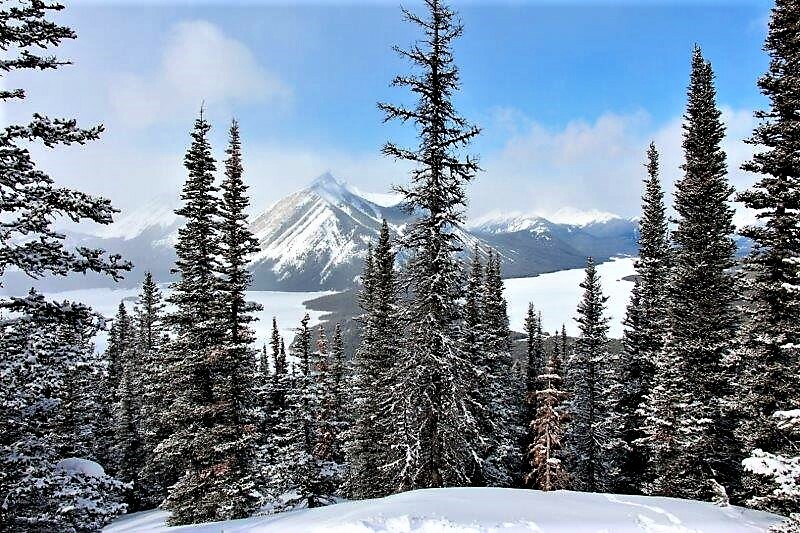 Blueberry Hill via Elk Pass (LD)