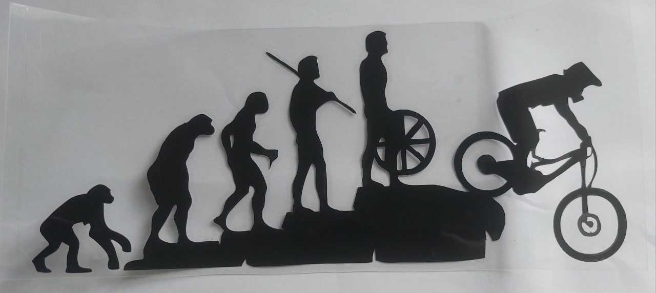 biking_evolution.png