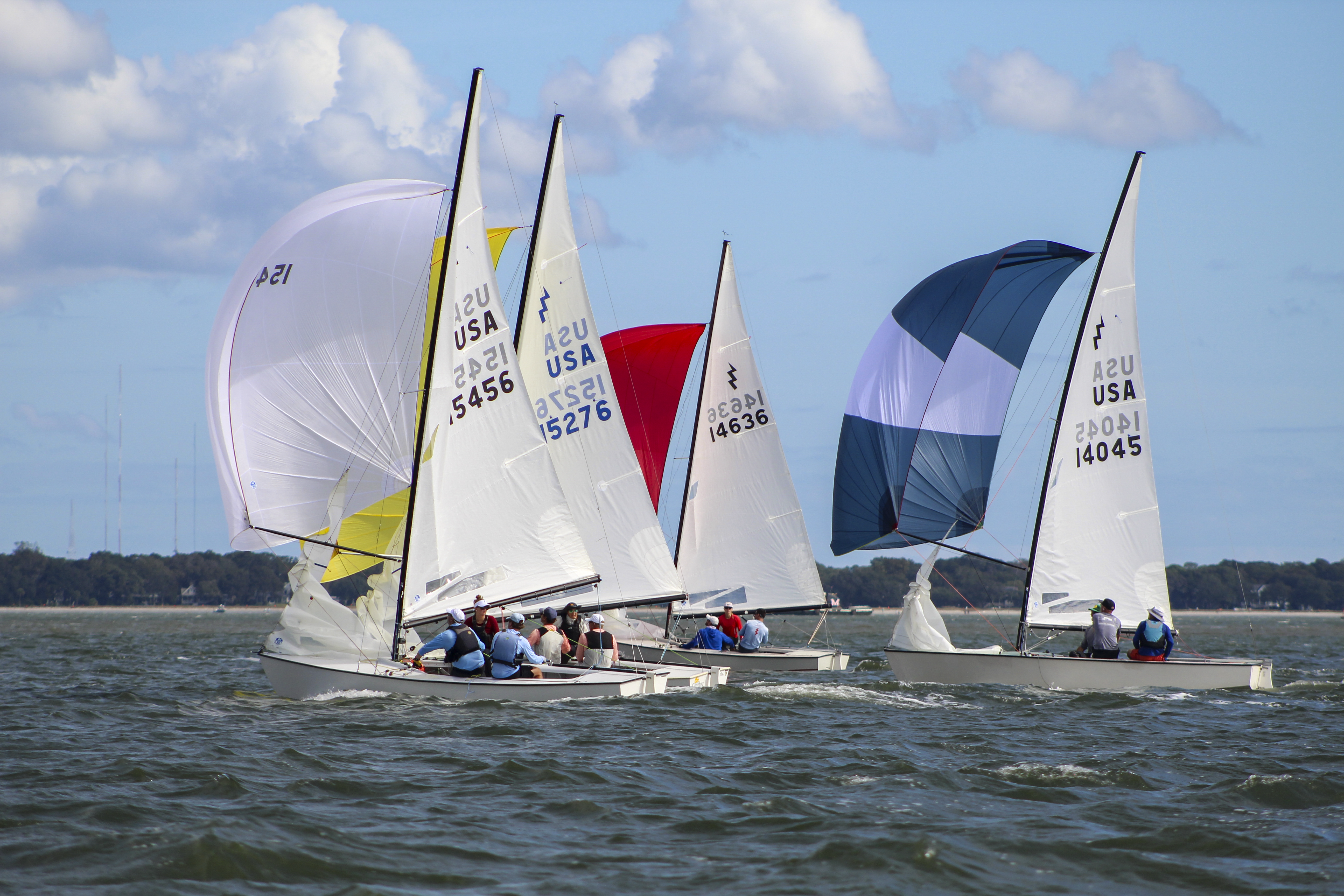 Wild Oyster 2025
