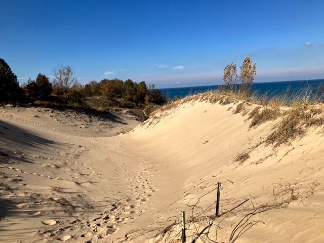 2025 Nov 2 Trail 9-3