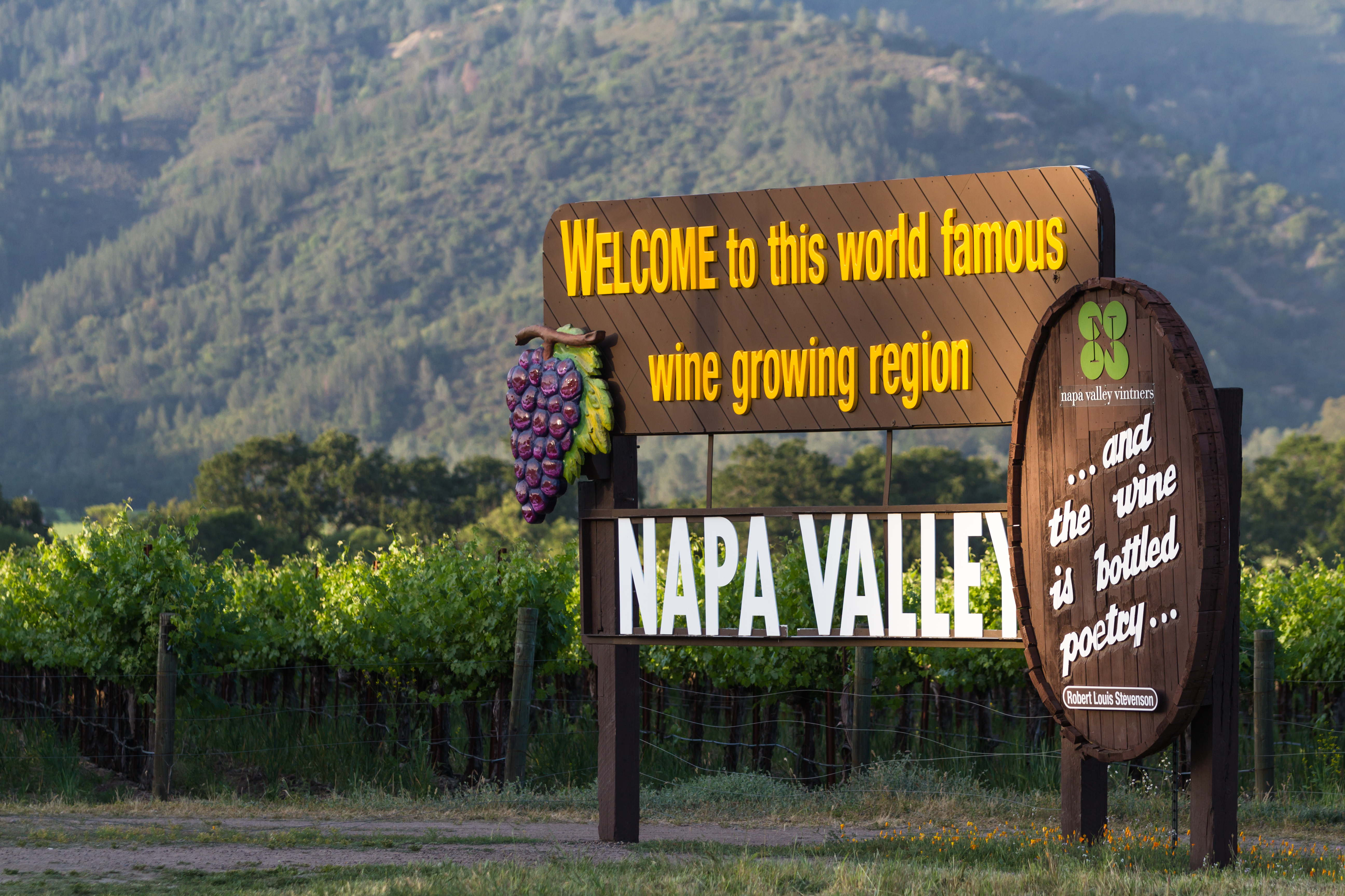 Napa_Valley1.jpeg