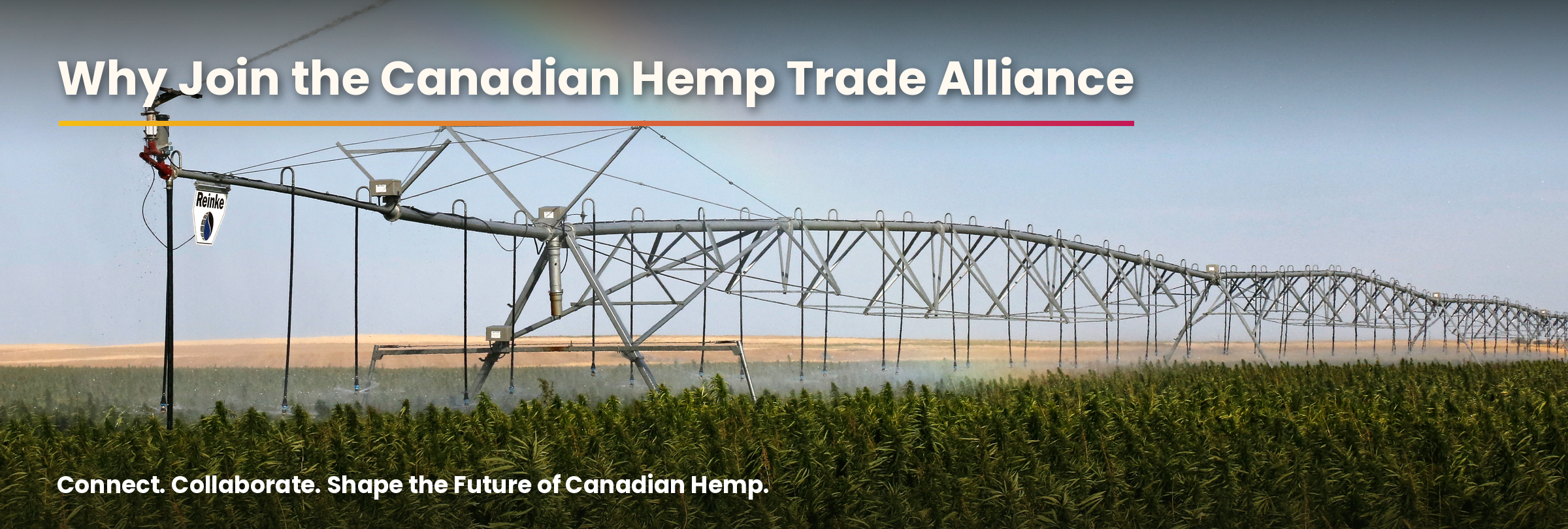 Why Join the Canadian Hemp Trade Alliance: center-pivot irrigation over a hemp field.
