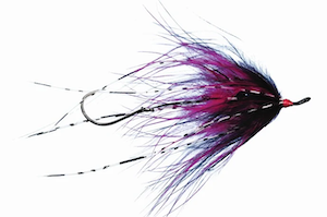 Hoh Bo Spey