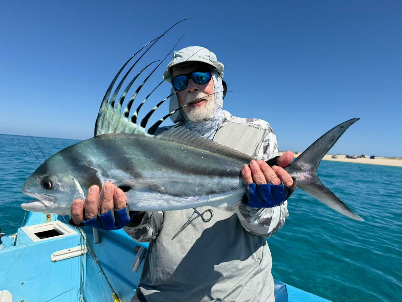 Chris WIllard Rooster