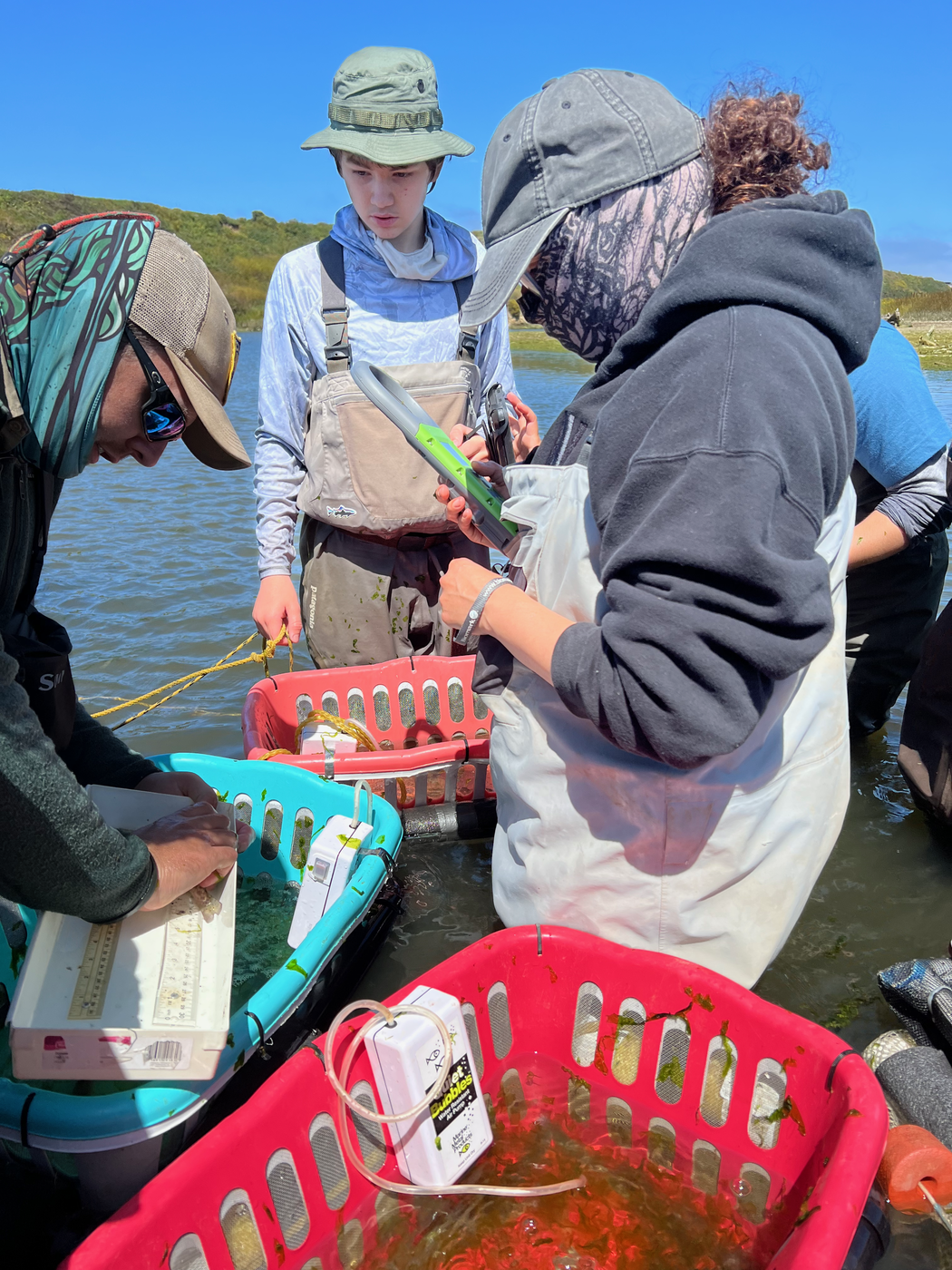 Pescadero Lagoon sampling