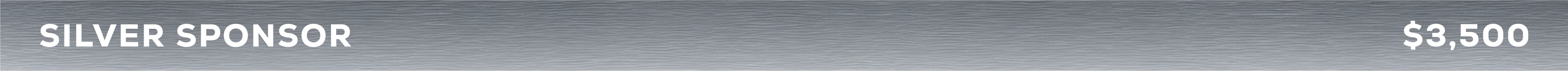 Silver_Strip_Generic.png