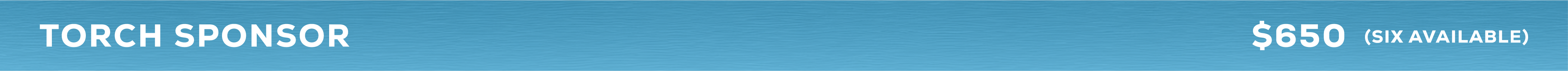 Torch_Sponsor_Bar.png