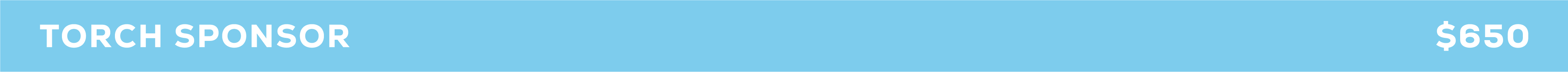 Torch_Strip_Generic.png