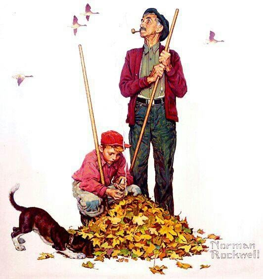 Rockwell Fall