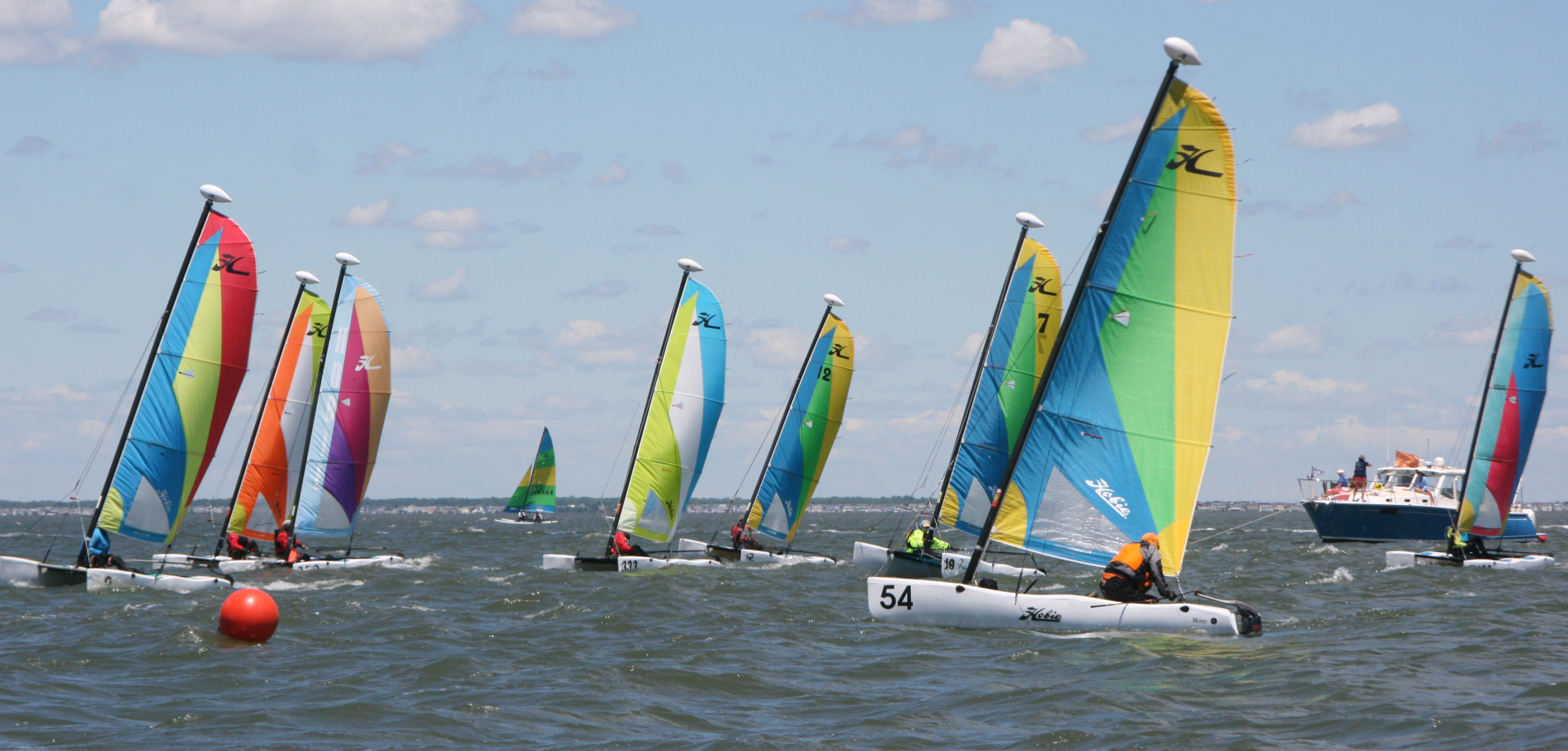 Senior_Sailing_Header.png