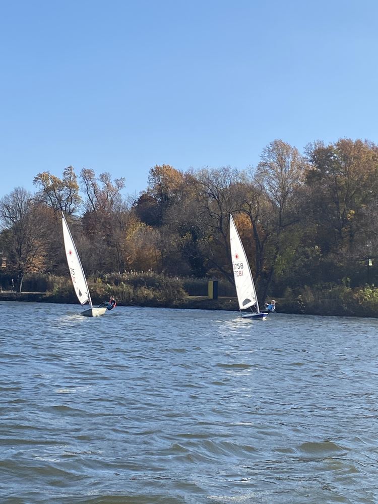 Laser Regatta