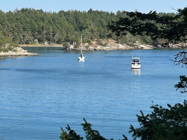 Fossil Bay, Sucia Is.
