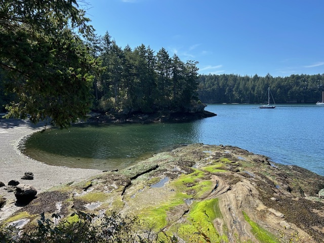 N. Shallow Bay, Sucia Is. 2025