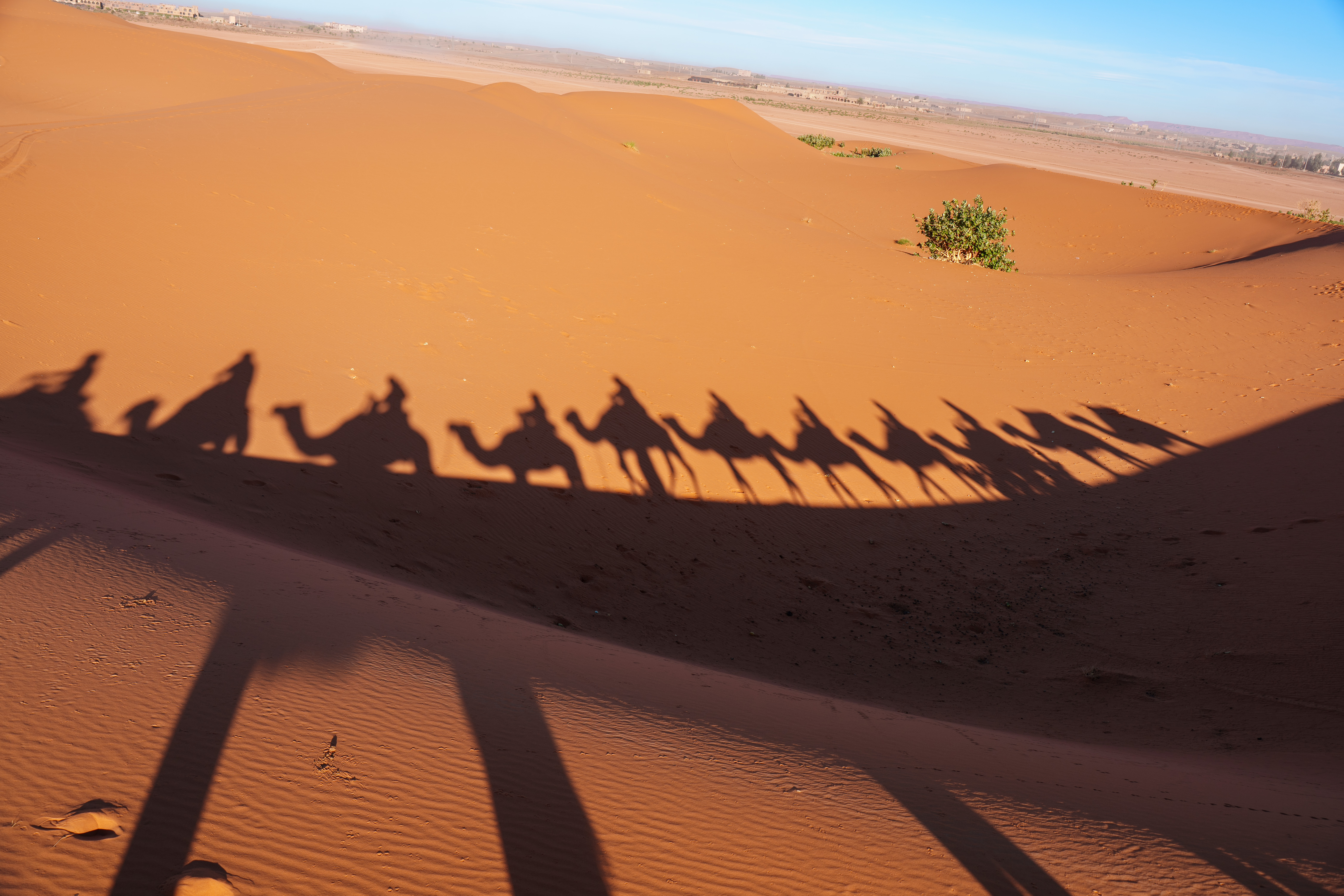 Camel_Shadows.jpg