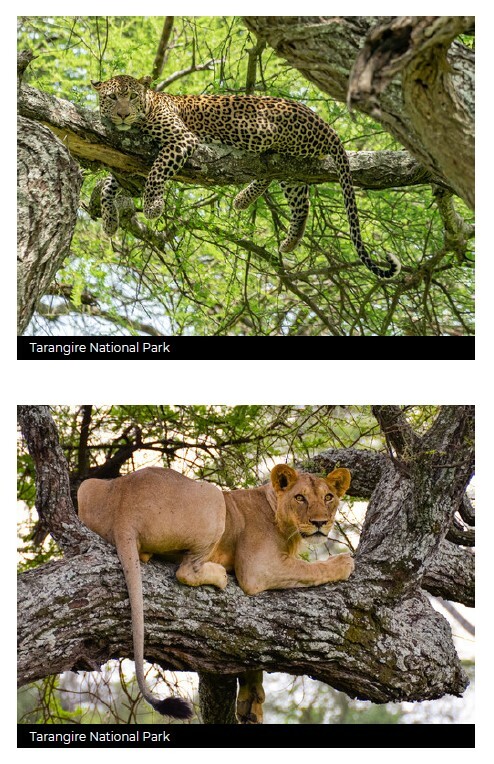 Tanzania_002.jpg