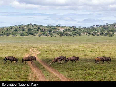 Tanzania_003.jpg