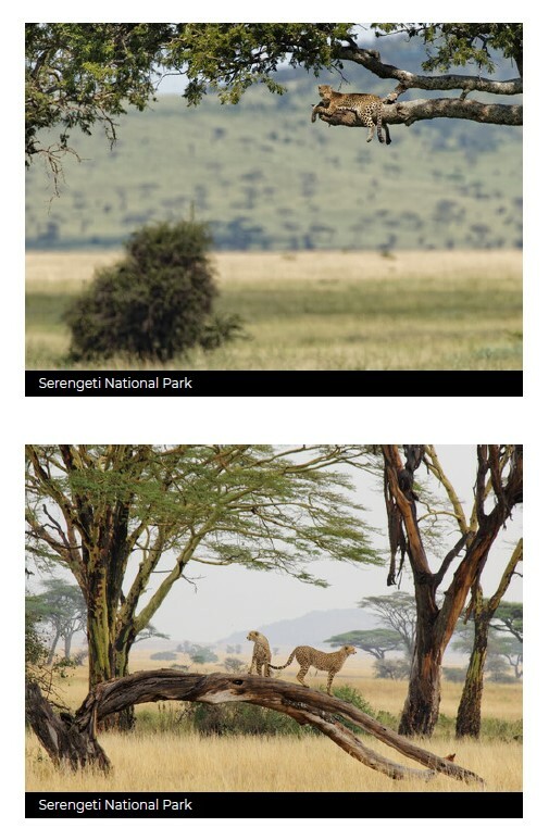 Tanzania_004.jpg