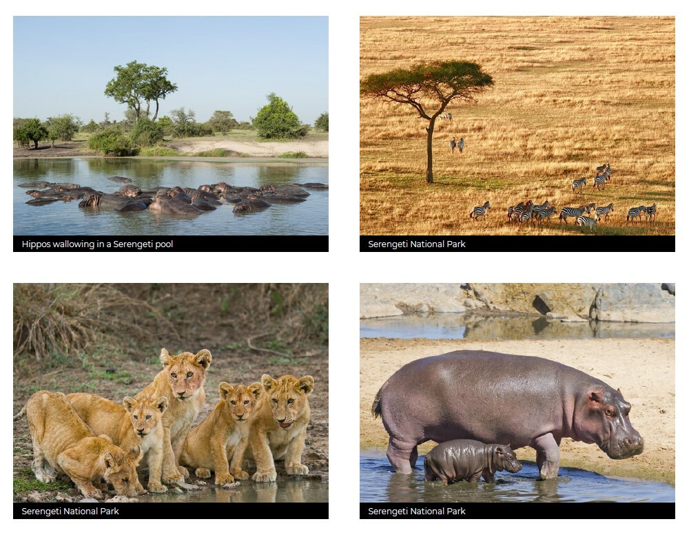Tanzania_005.jpg