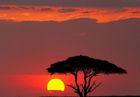 Tanzania_012.jpg