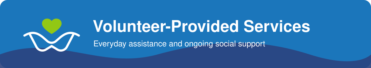 03-volunteer-provided-services.png