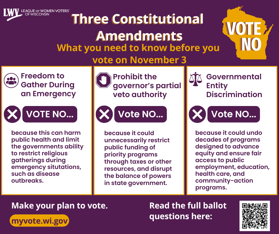 VOTE_NO_on_three_amendments_FB_post_-_purple_edited.png