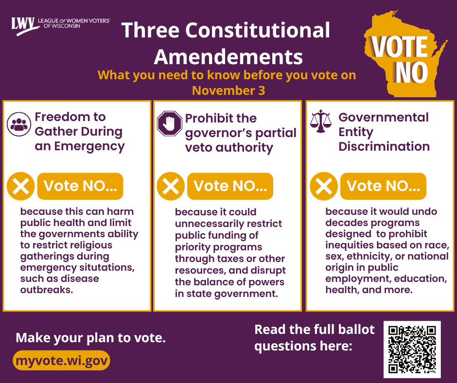 VOTE_NO_on_three_amendments_FB_post_-_purple_edited.png