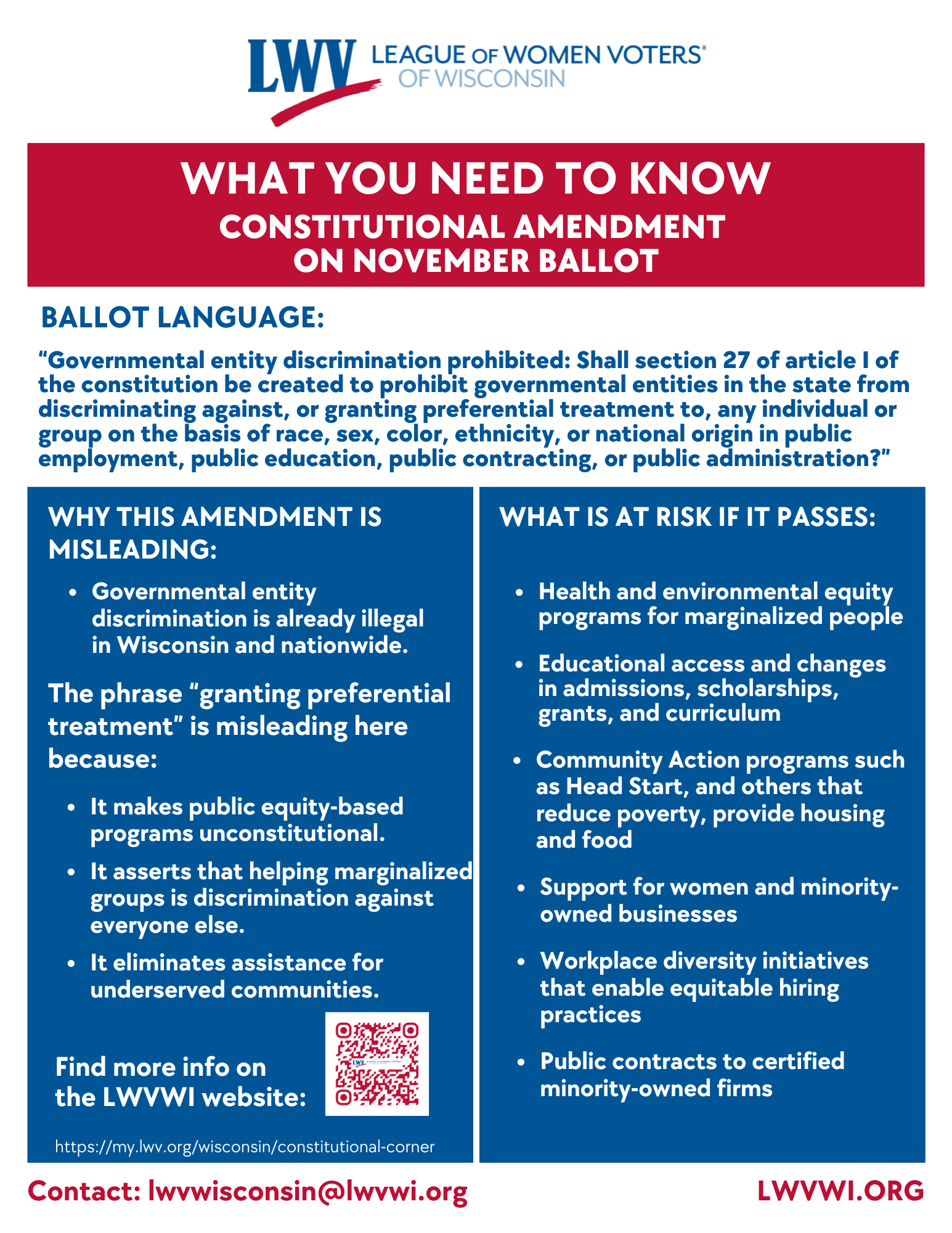 anti-equity_final_constitutional_amendment_flyer.png