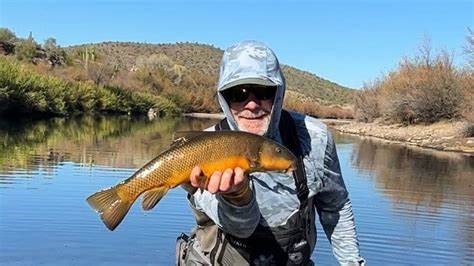 Chris Rich Salt River