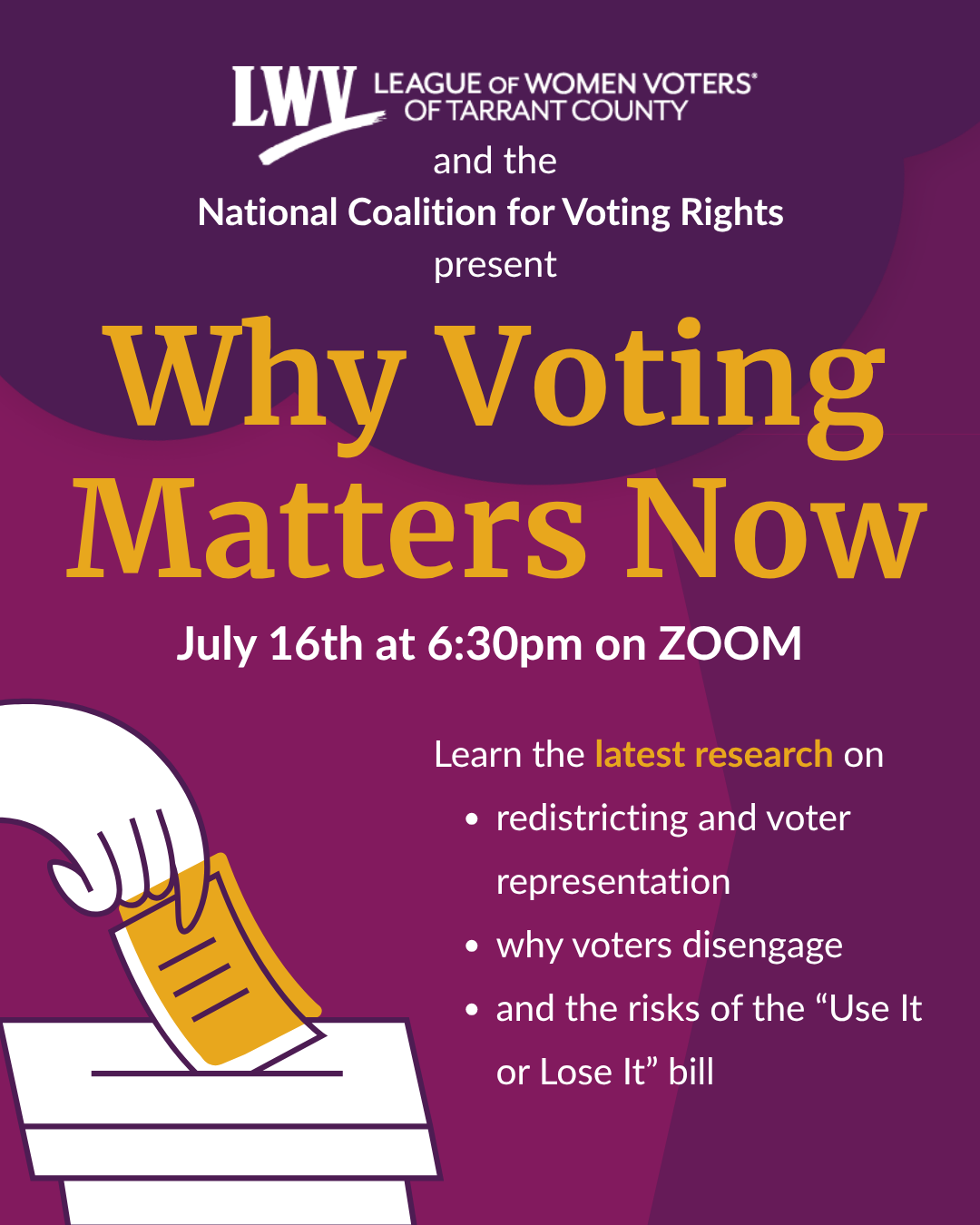 Why Voting Matters Now