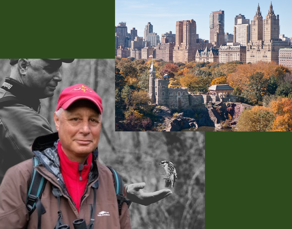 Birding-with-TR-2026-5