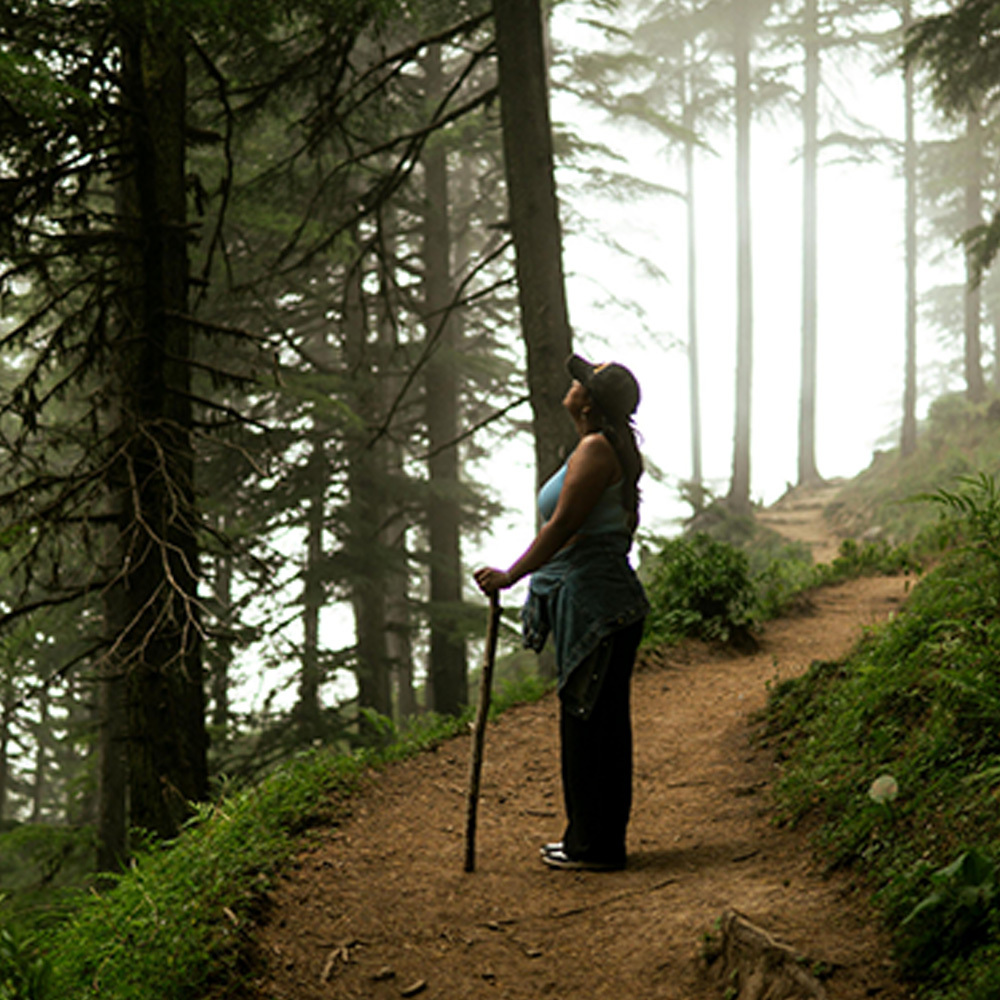 Strenuous Life Adventures