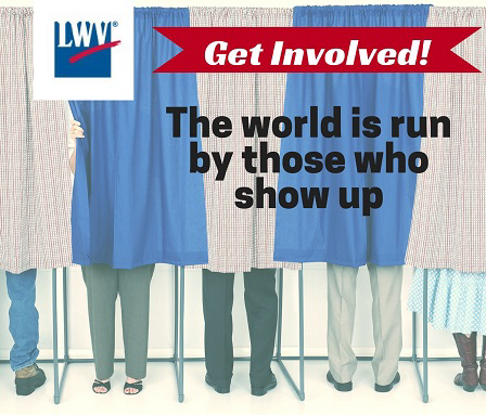 VoterServicesgraphic.png