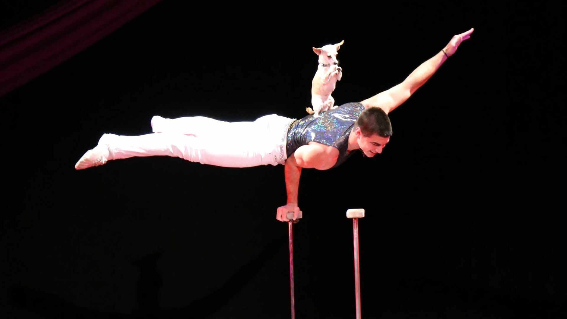 Cirque pic 2