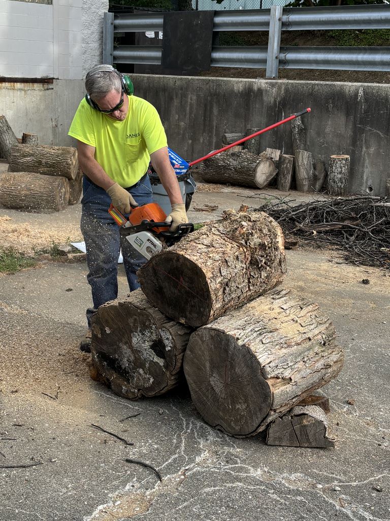 Wood Processing - Sept 2024 12