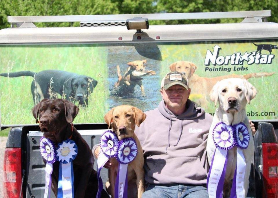 Pouting Labrador Board of Directors - American Pointing Labrador Association