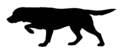 Pointing Labrador silhouette